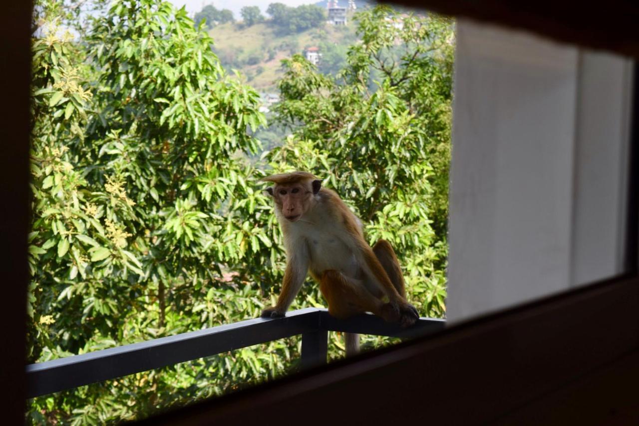 La Colina Kandy Buitenkant foto